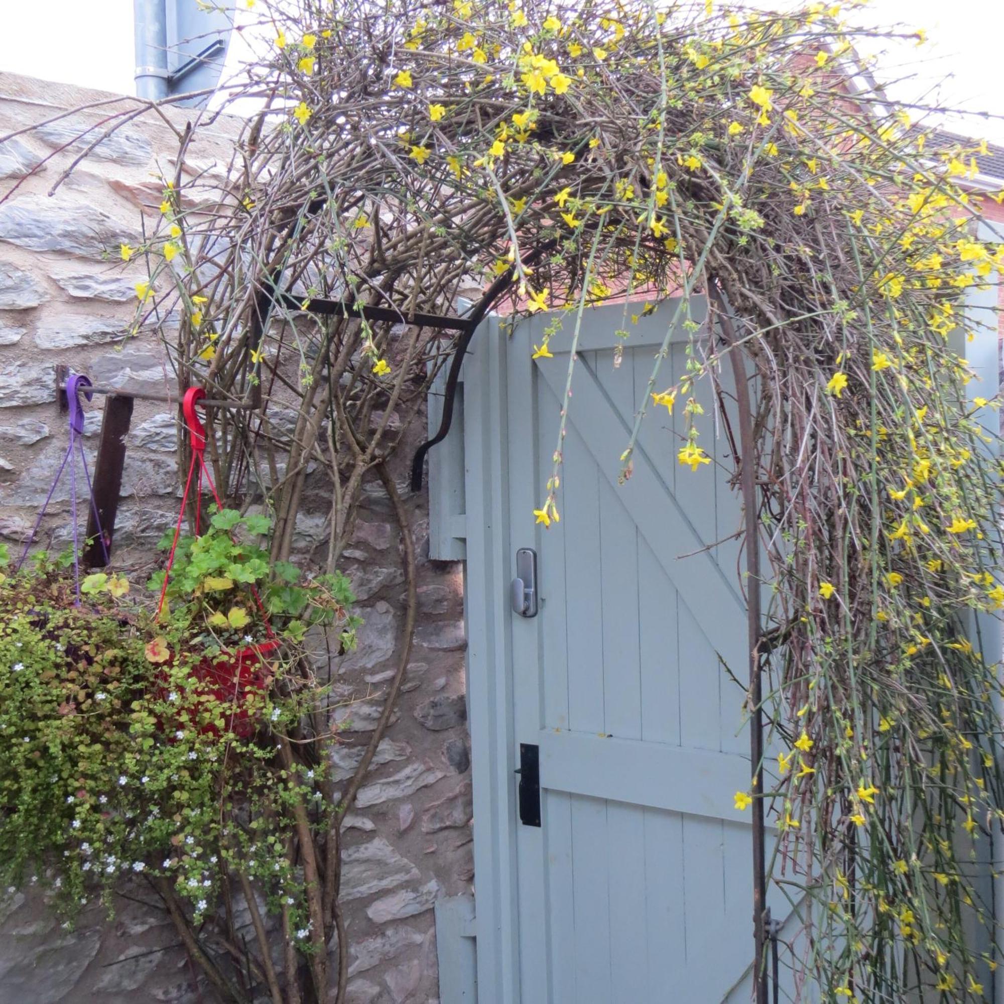 Frog Palace - Secure Parking-Outside Area-Topsham-Exeter-Beach-Chiefs-Wifi Esterno foto